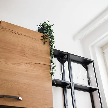 Daire Modernes In Mit Netflix & Balkon Linz