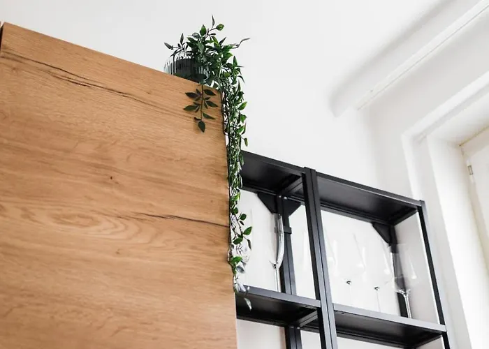 Apartment Modernes In Mit Netflix & Balkon Linz